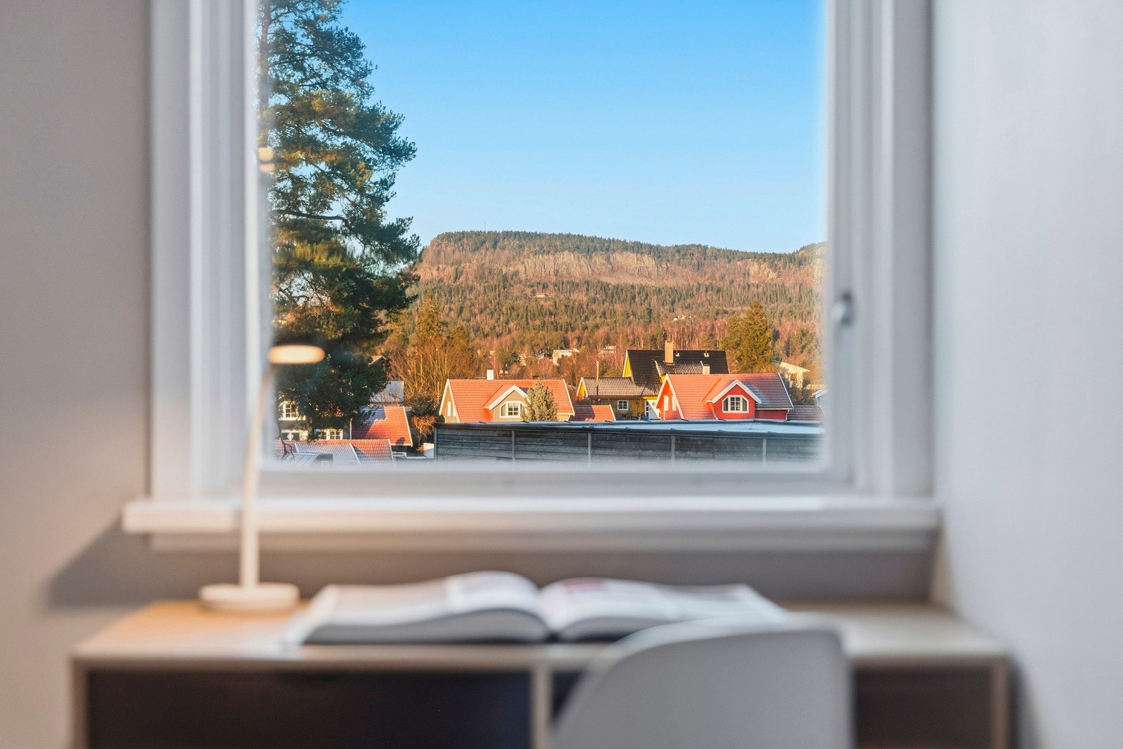 Detaljbilde. Galleribilde