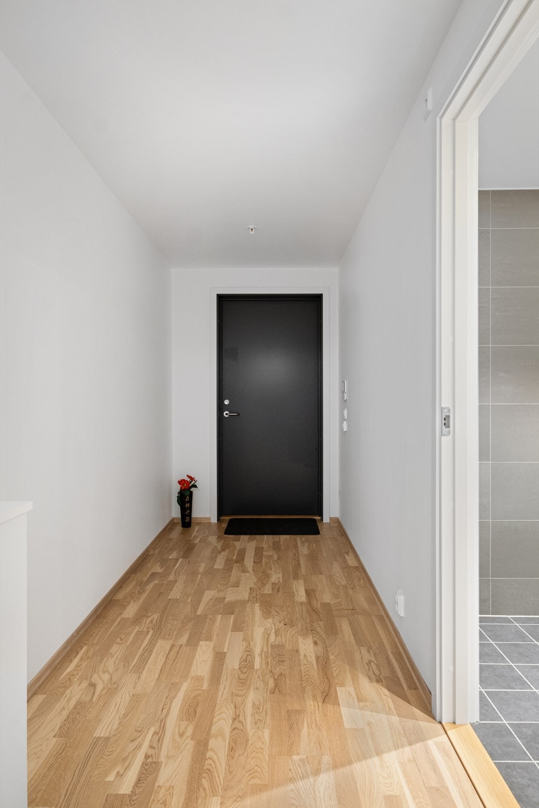 Romslig inngangsparti med plass til oppbevaring. Enkel adkomst til baderom Galleribilde