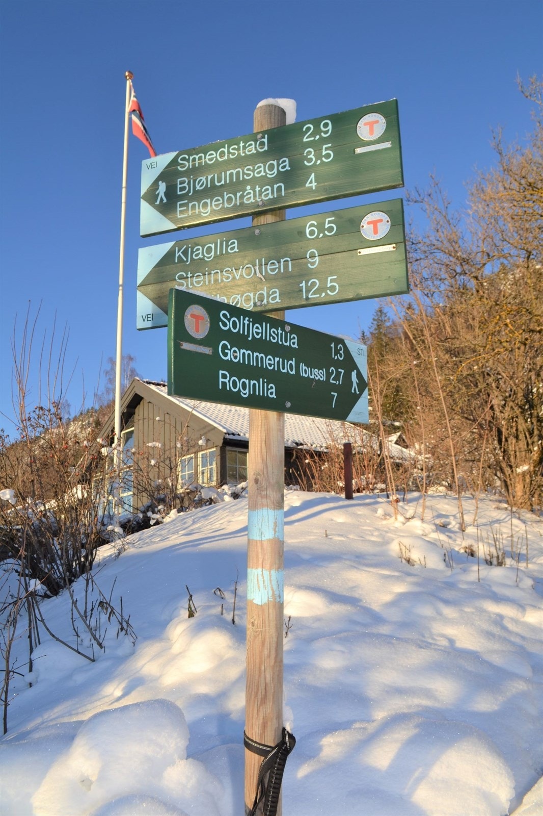 Rikelig med turløyper i umiddelbar nærhet Galleribilde
