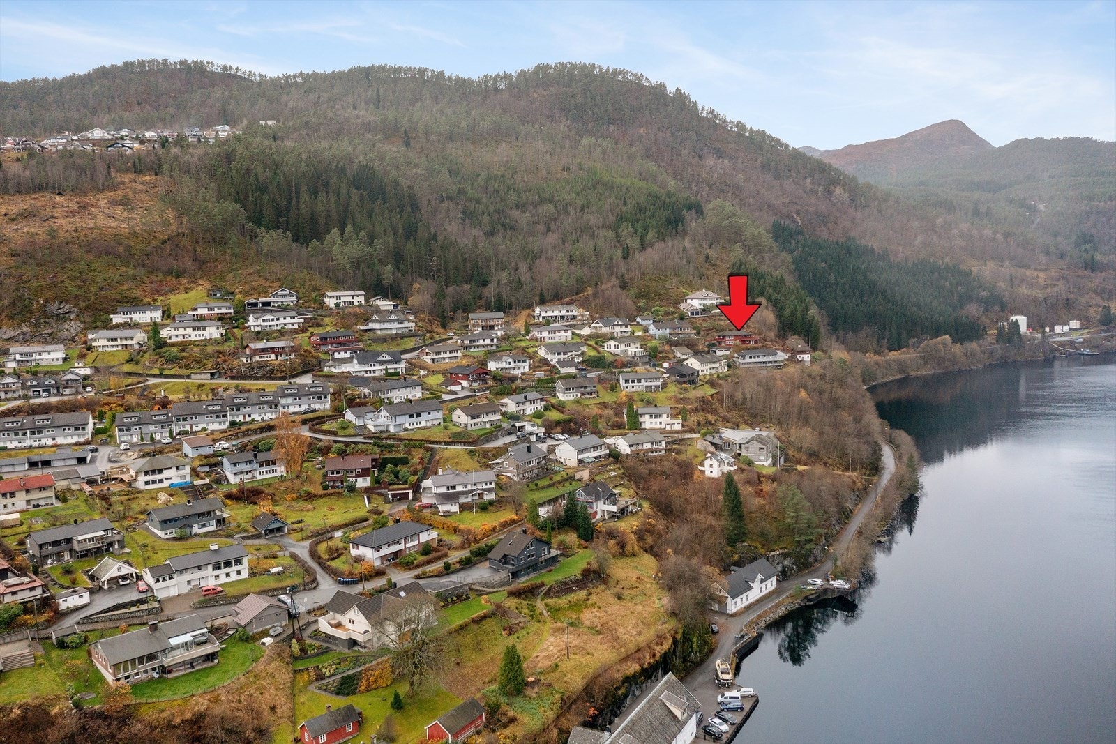 Husk påmelding til visning! Galleribilde