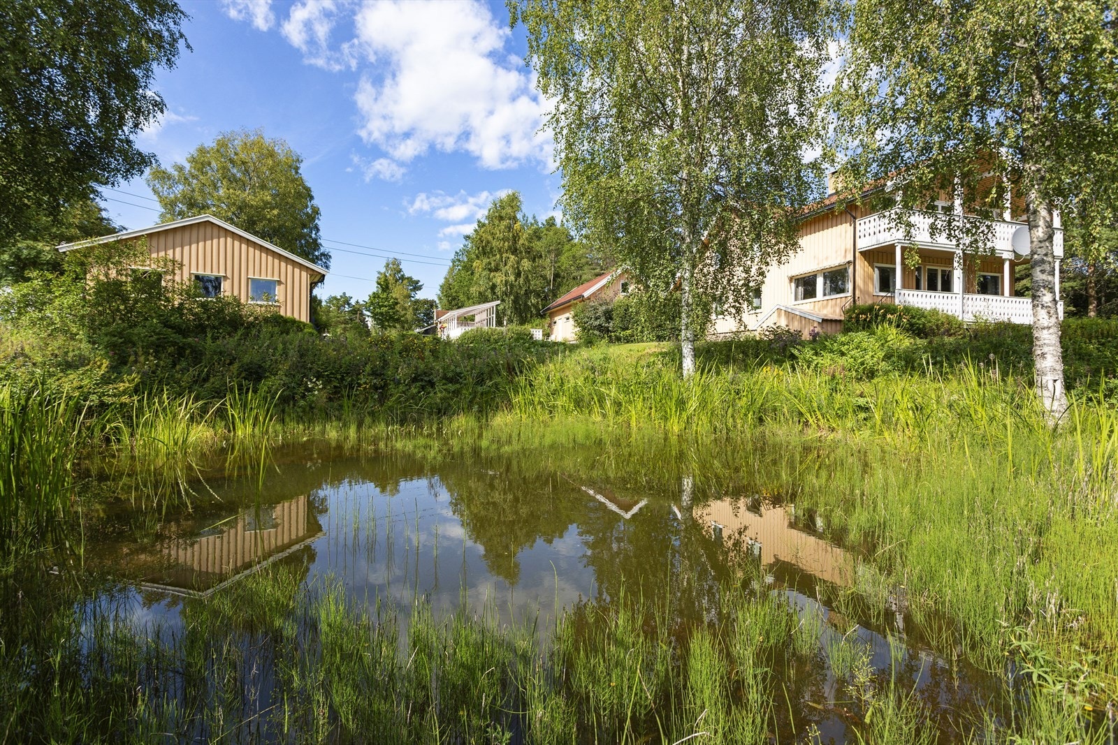 Sommerbilde Gamle Setskogvei 576. Galleribilde