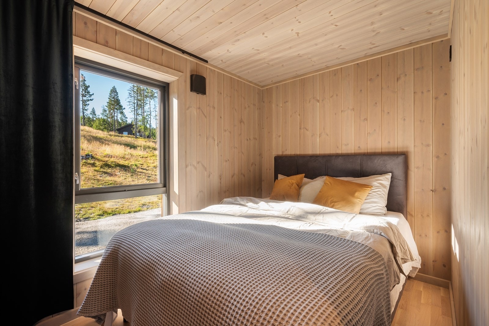 Behagelig og lune farger. Galleribilde