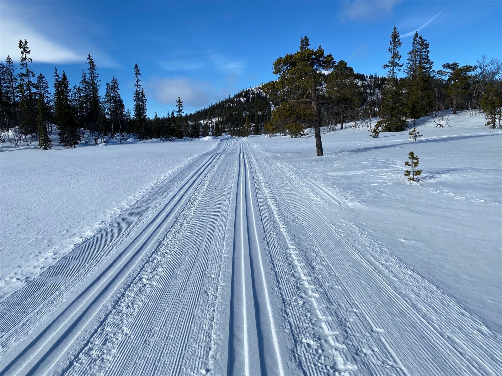 Vinterbilde tatt av selger de siste vintrene Galleribilde