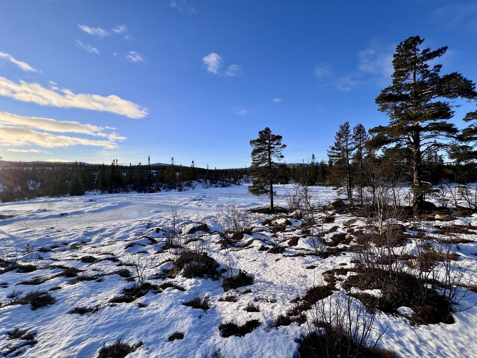 Vinterbilde tatt av eiendomsmegler 30.12.2025 Galleribilde