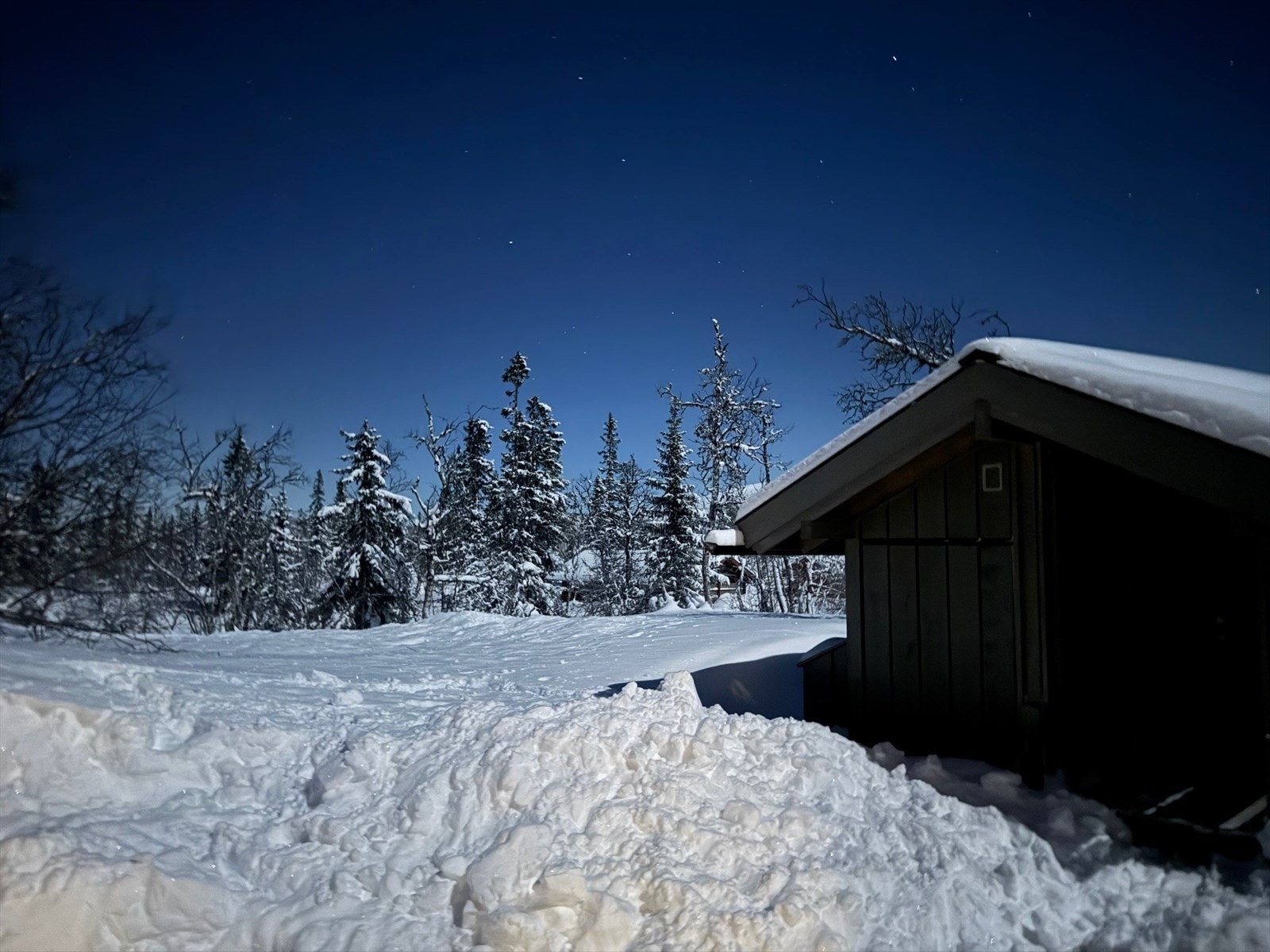 Vinterbilde tatt av selger de siste vintrene Galleribilde