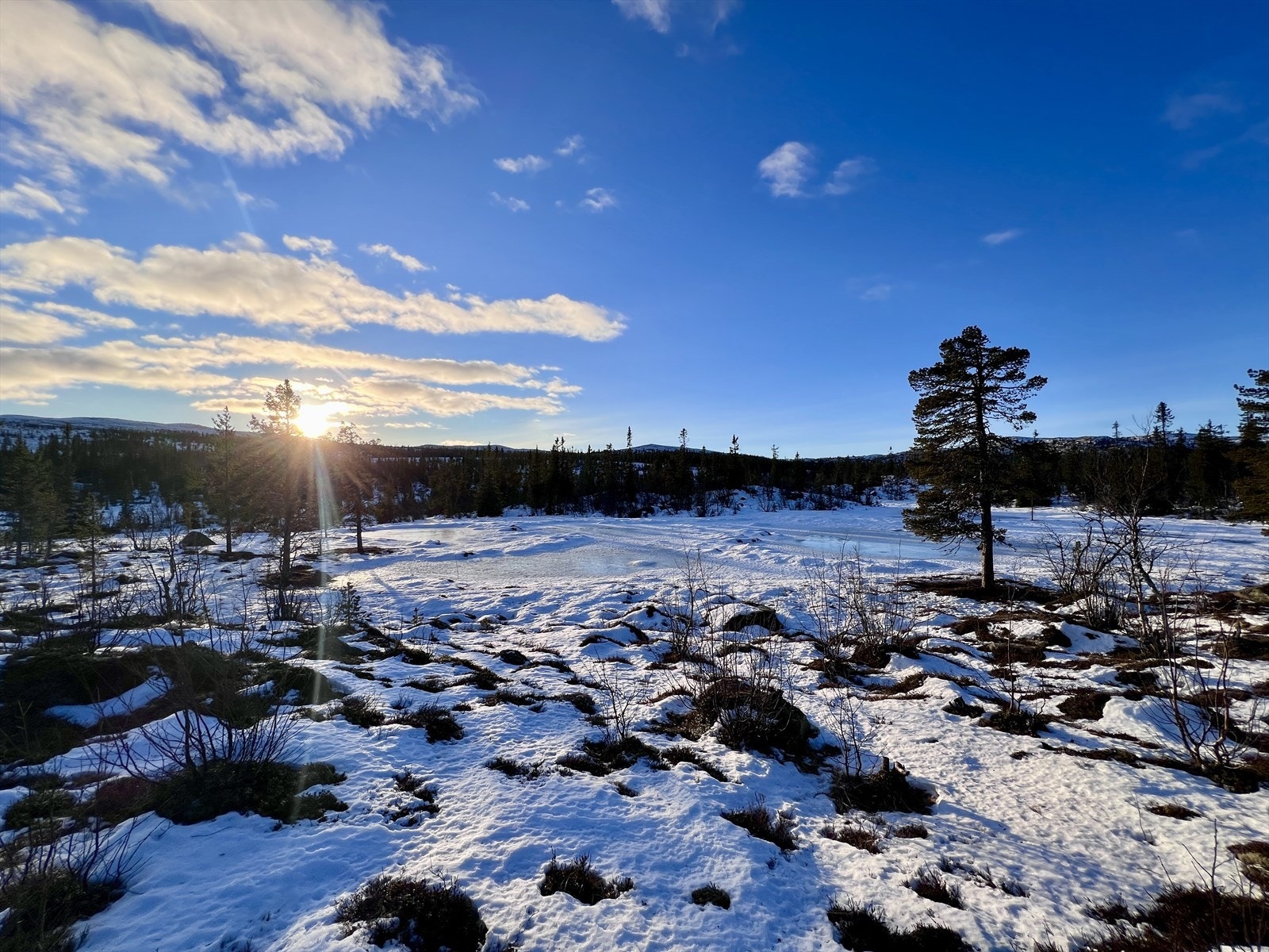 Vinterbilde tatt av eiendomsmegler 30.12.2025 Galleribilde