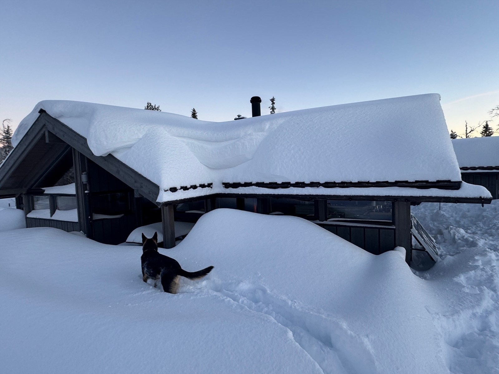 Vinterbilde tatt av selger de siste vintrene Galleribilde
