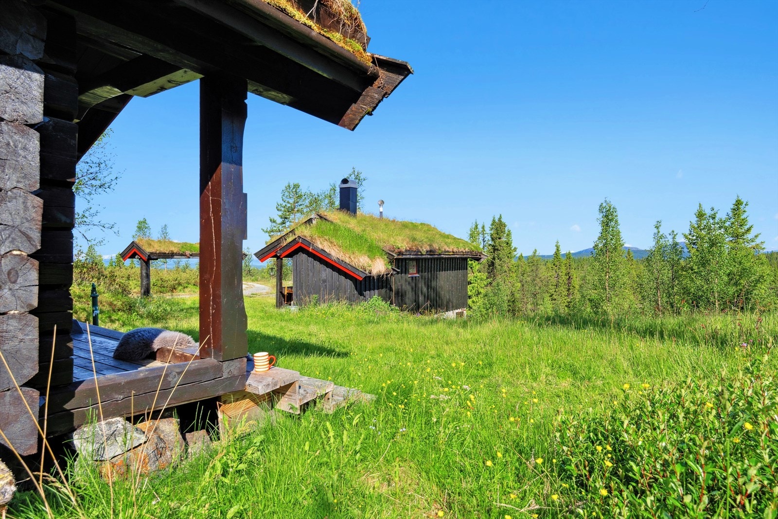 Fantastiske naturomgivelser. Galleribilde