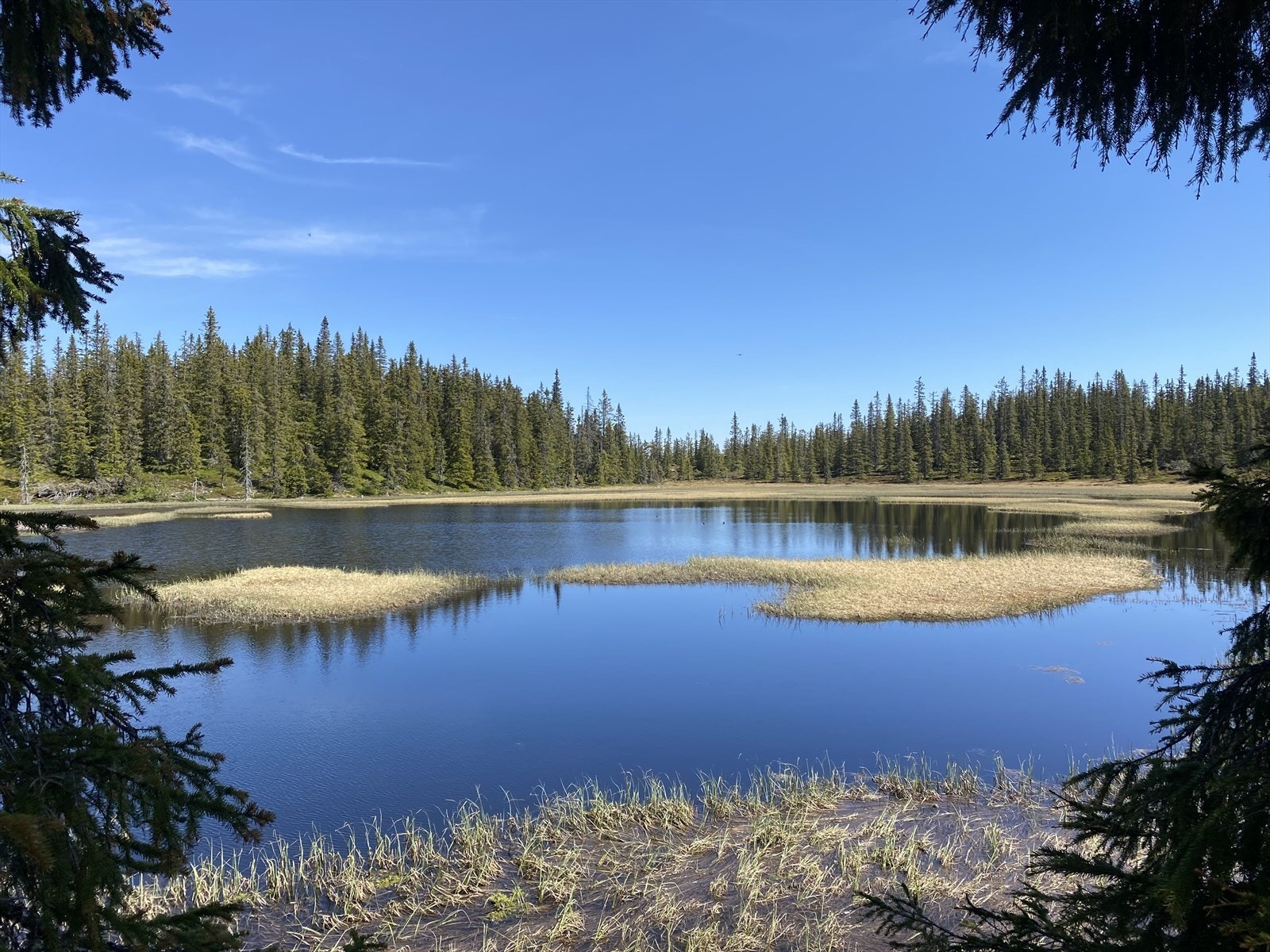 Bilde tatt av selger: Viser Isaktjern, som også ligger i området rundt hytten. Galleribilde