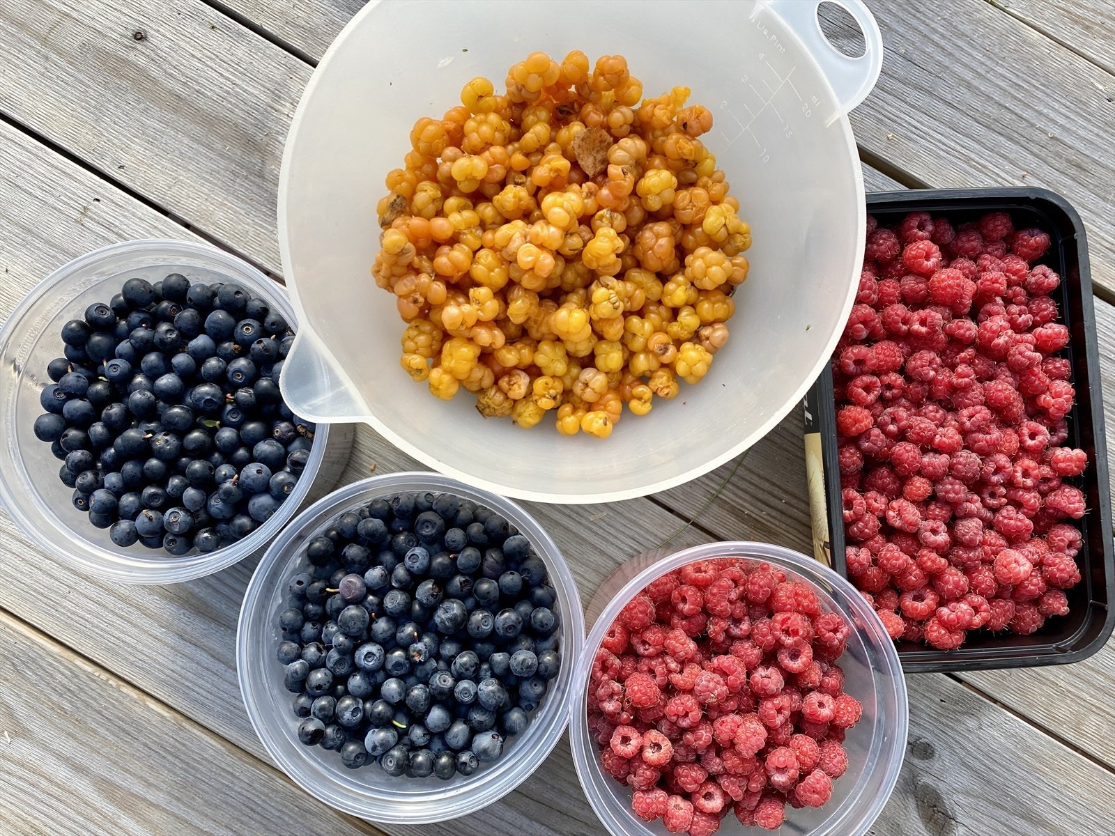 Bilde tatt av selger: Bær plukket i nærområdet. Galleribilde