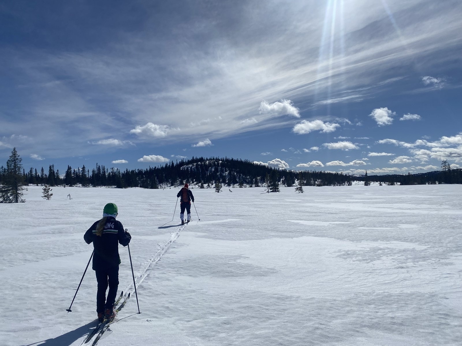 Bilde tatt av selger: Tatt på myren rett foran hytten. Galleribilde