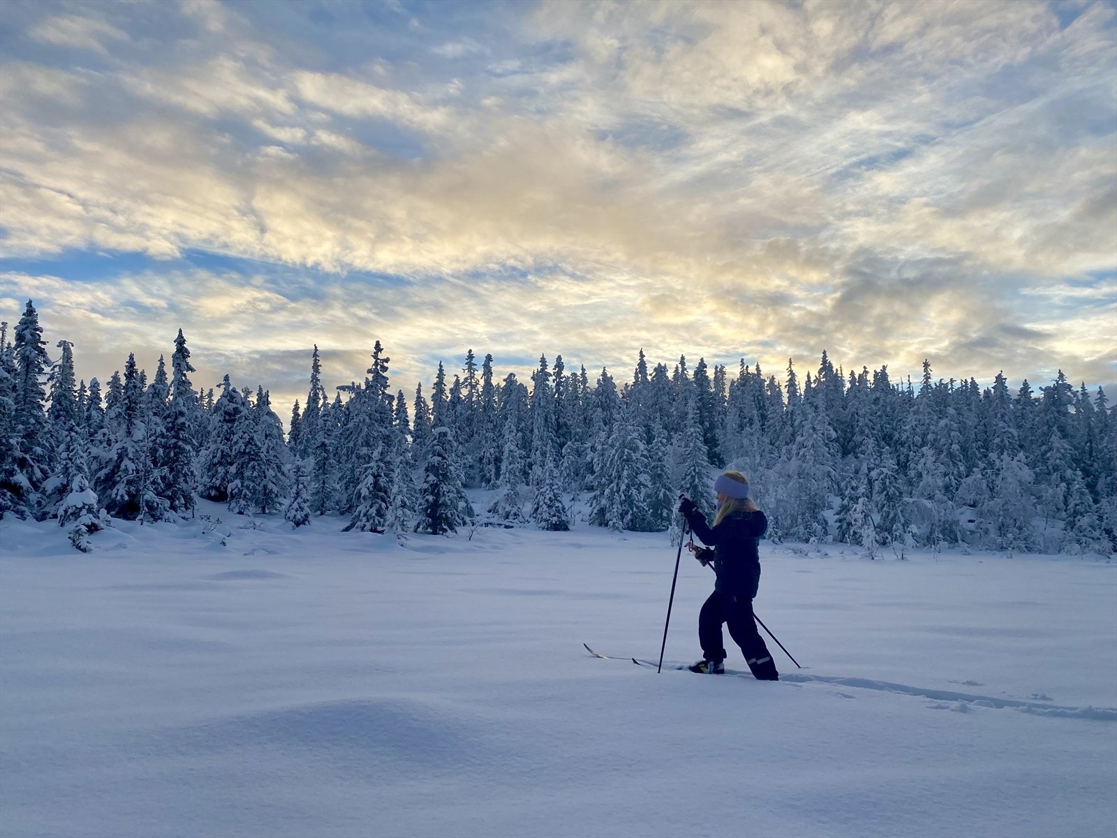 Bilde tatt av selger: Viser skiløypene i nærområdet. Galleribilde