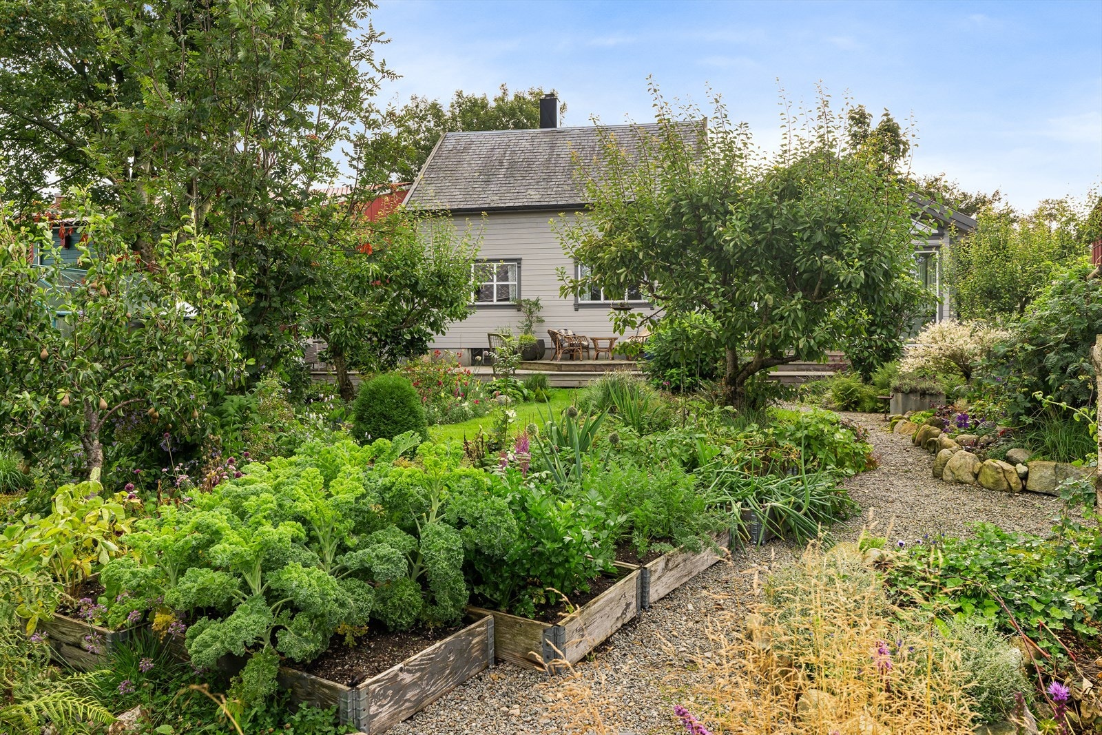 Grønnsakshage. Galleribilde