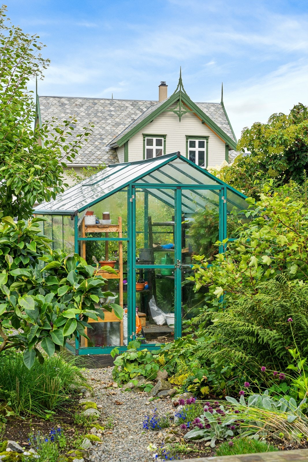 Drivhus Galleribilde