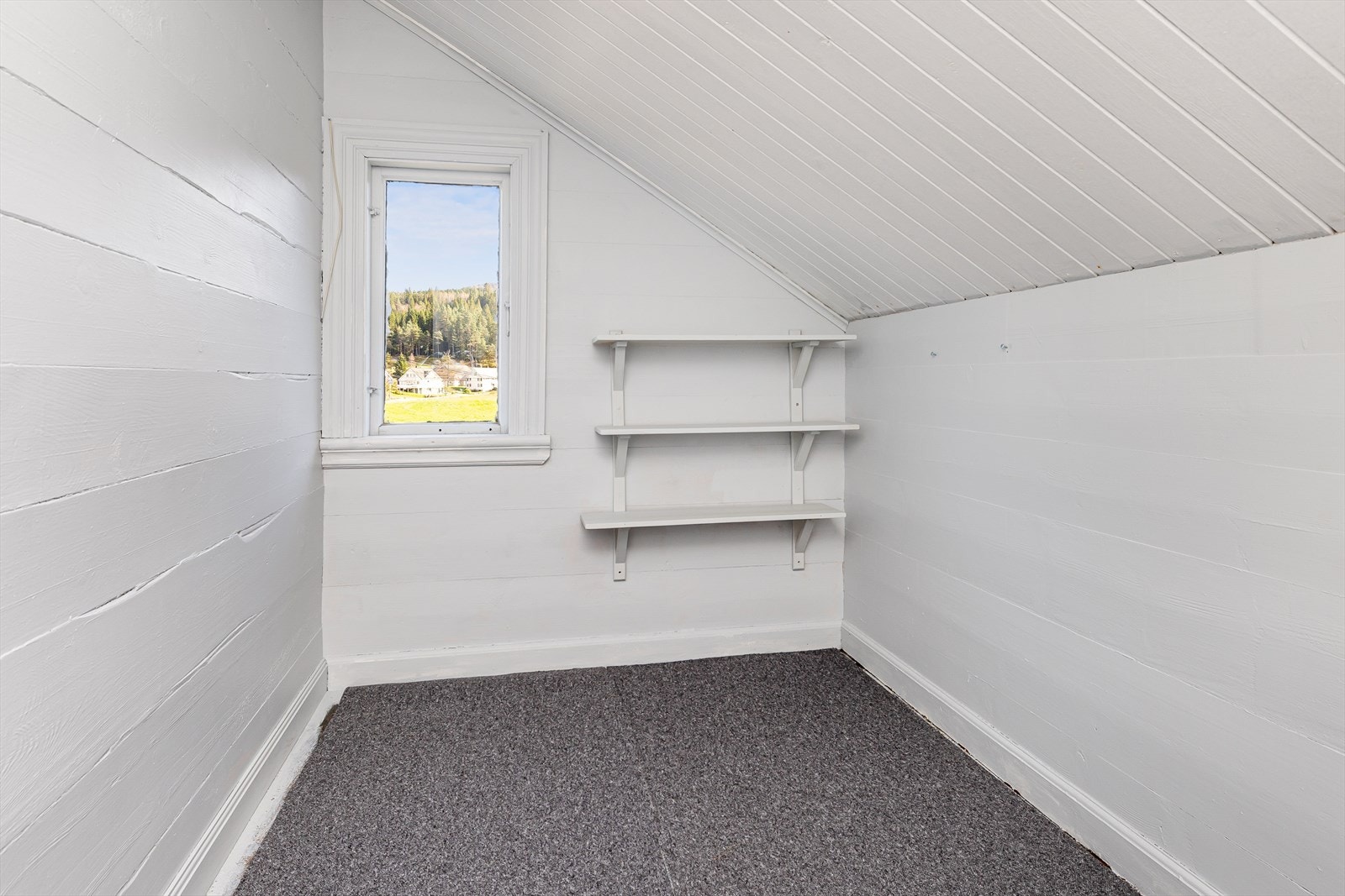 Kott/ bod Galleribilde