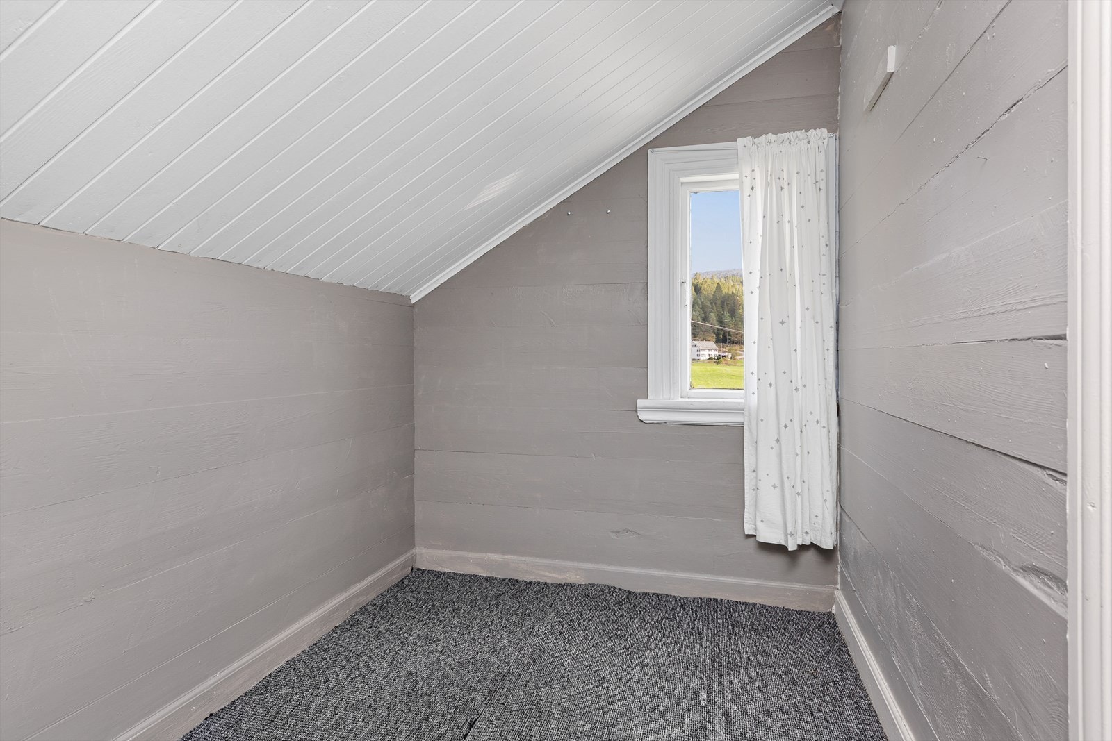 Kott/ bod Galleribilde