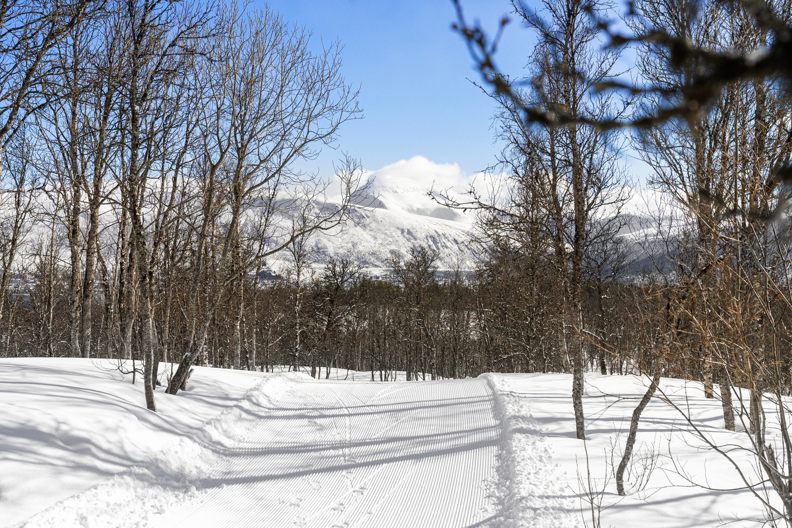 Fantastiske skiløype og turmuligheter i nærområdet.