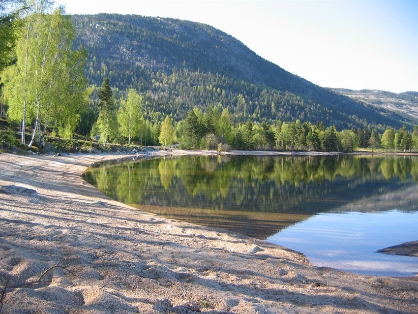 Idyllisk strand- og badeområde omgitt av skog og fjell. Galleribilde