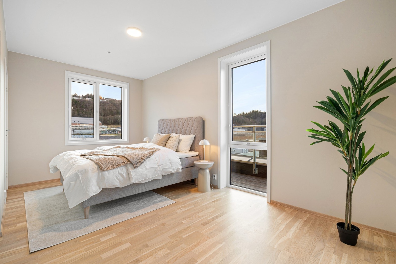 Soverom. Galleribilde