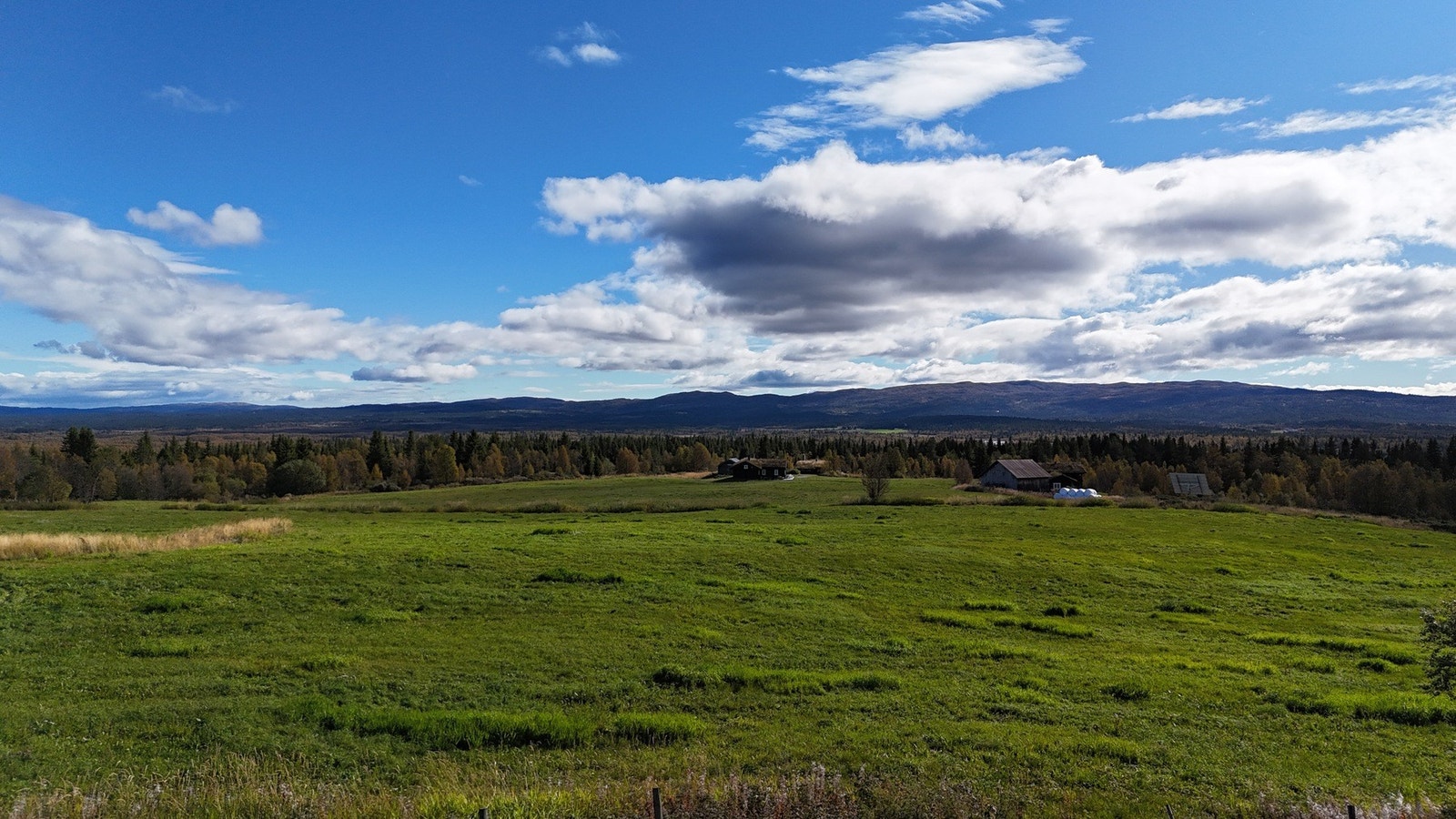 Utsikten fra verandaen. Galleribilde