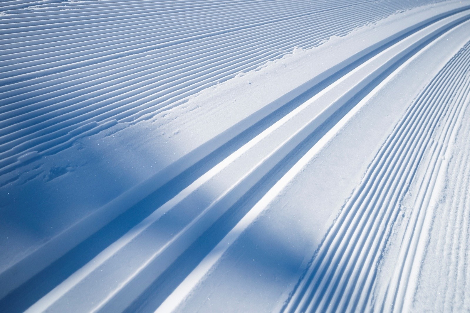 Nydelige skispor i umiddelbar nærhet Galleribilde