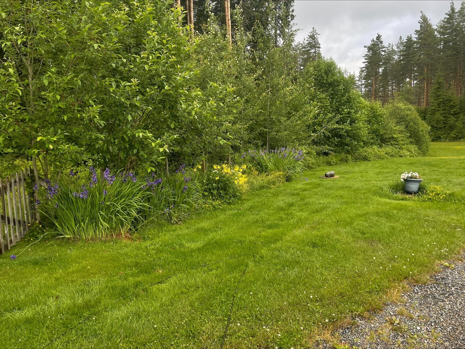 Selgers egne sommerbilder. Galleribilde