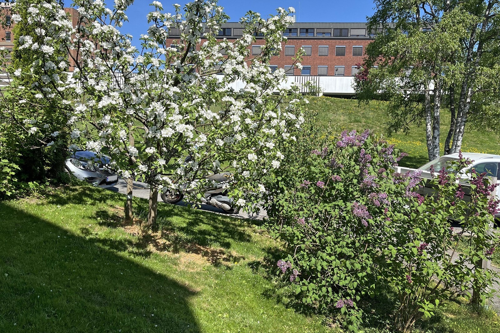 Selgers private bilde Galleribilde