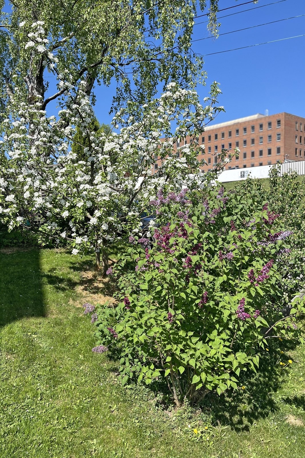 Selgers private bilde Galleribilde