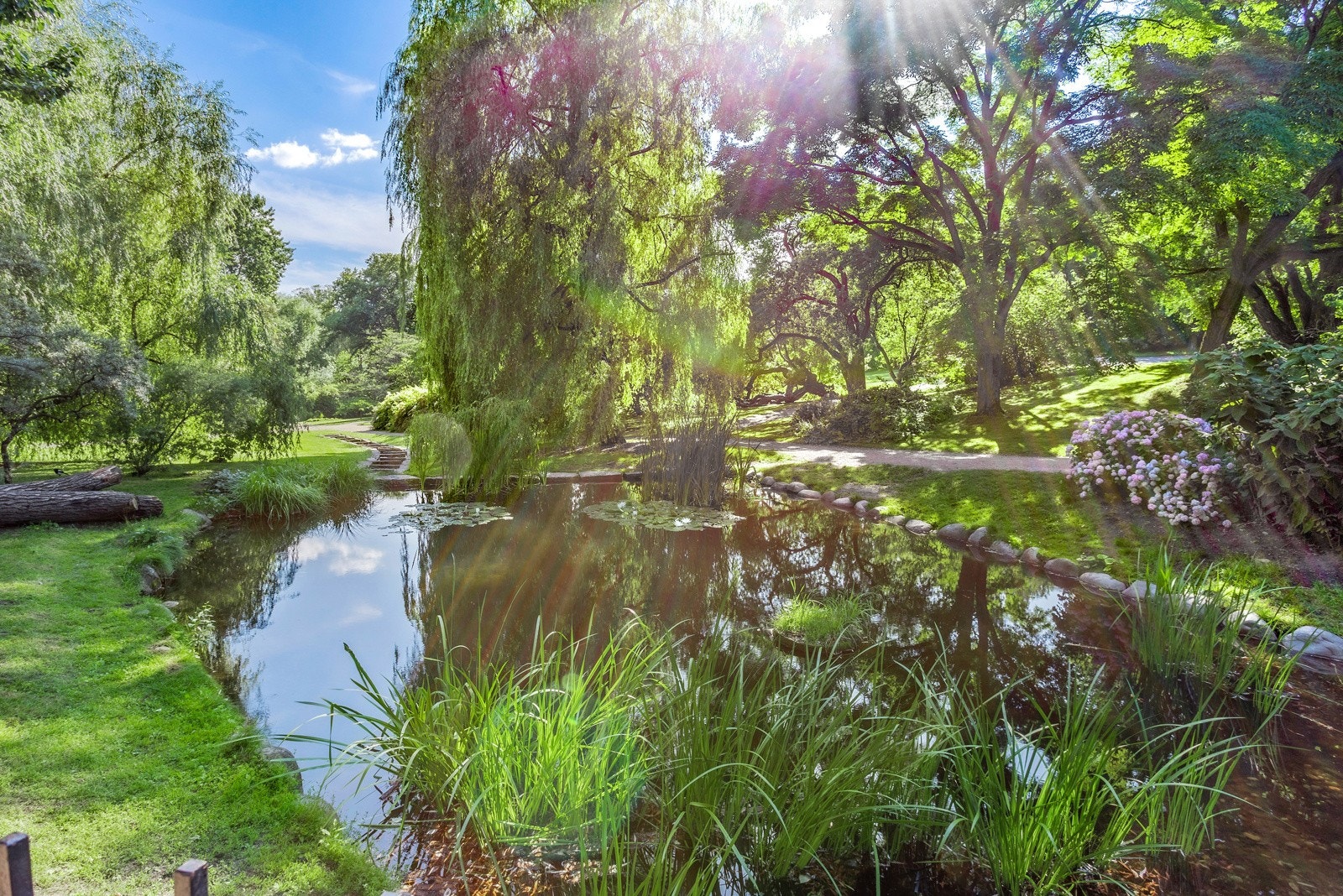 Du finner dessuten en rekke av hovedstadens særpregede grønne lunger i nærheten. Rett over veien ligger vakre Botanisk hage Galleribilde
