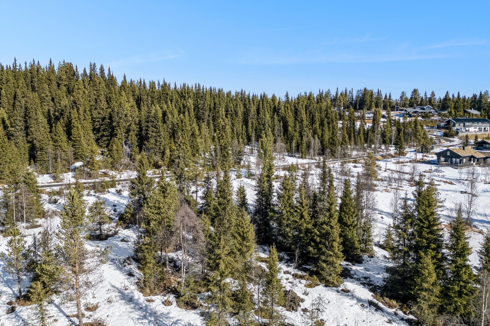 Tomtene får lagt strøm, vann og avløp lagt frem til tomtegrensene. Galleribilde
