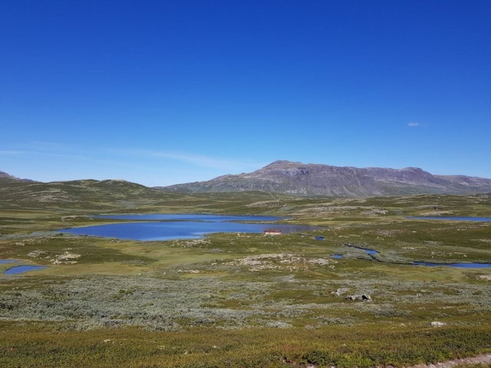 Selgers private bilde Galleribilde