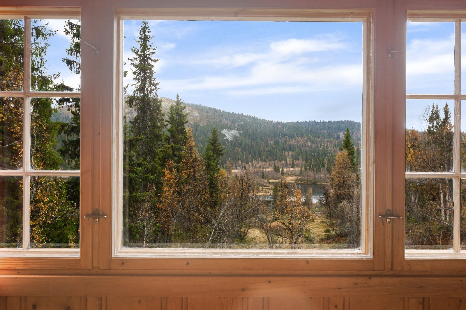 Utsikten fra stuen. Galleribilde