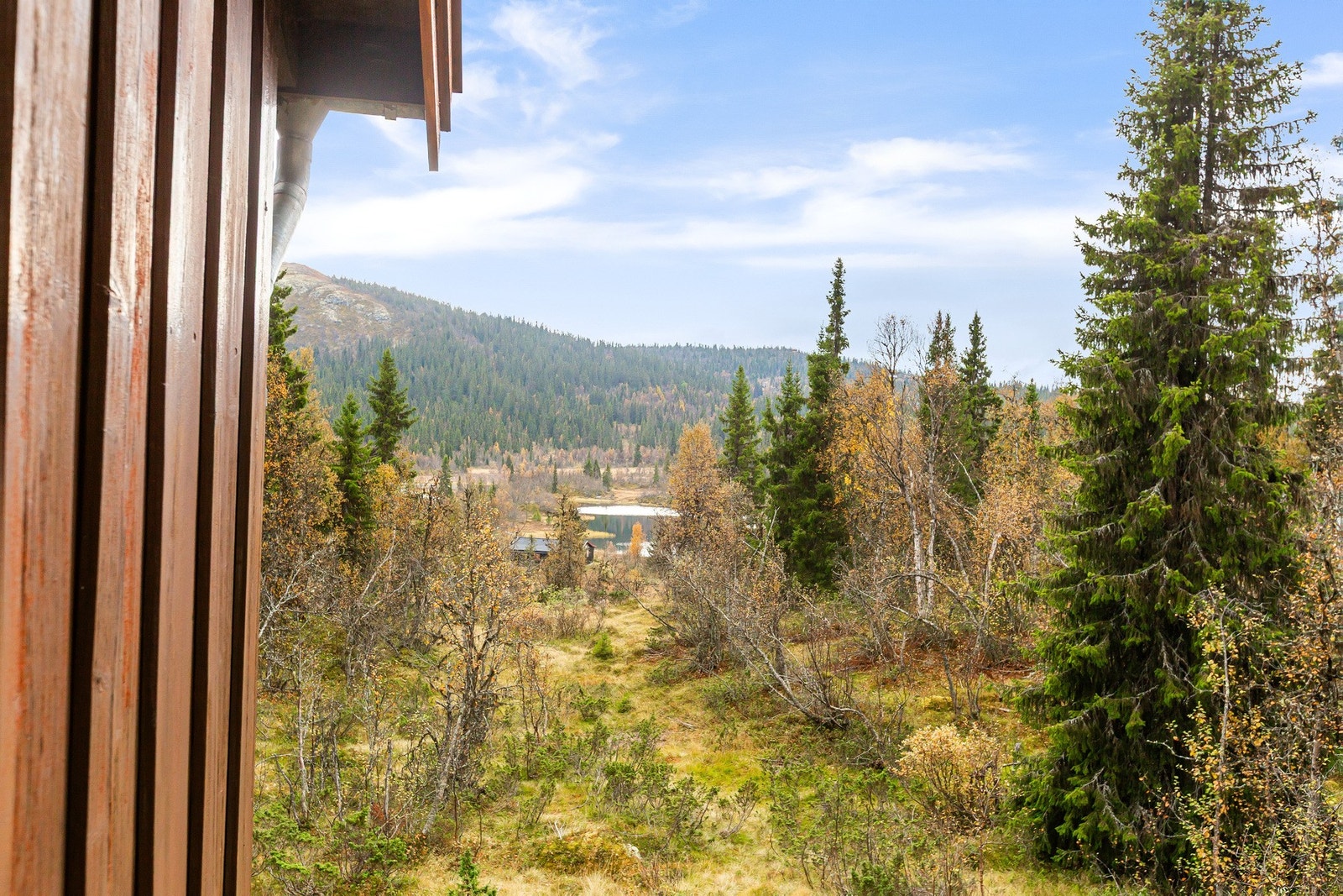 Flott utsikt fra inngangspartiet ned på tjernet. Galleribilde