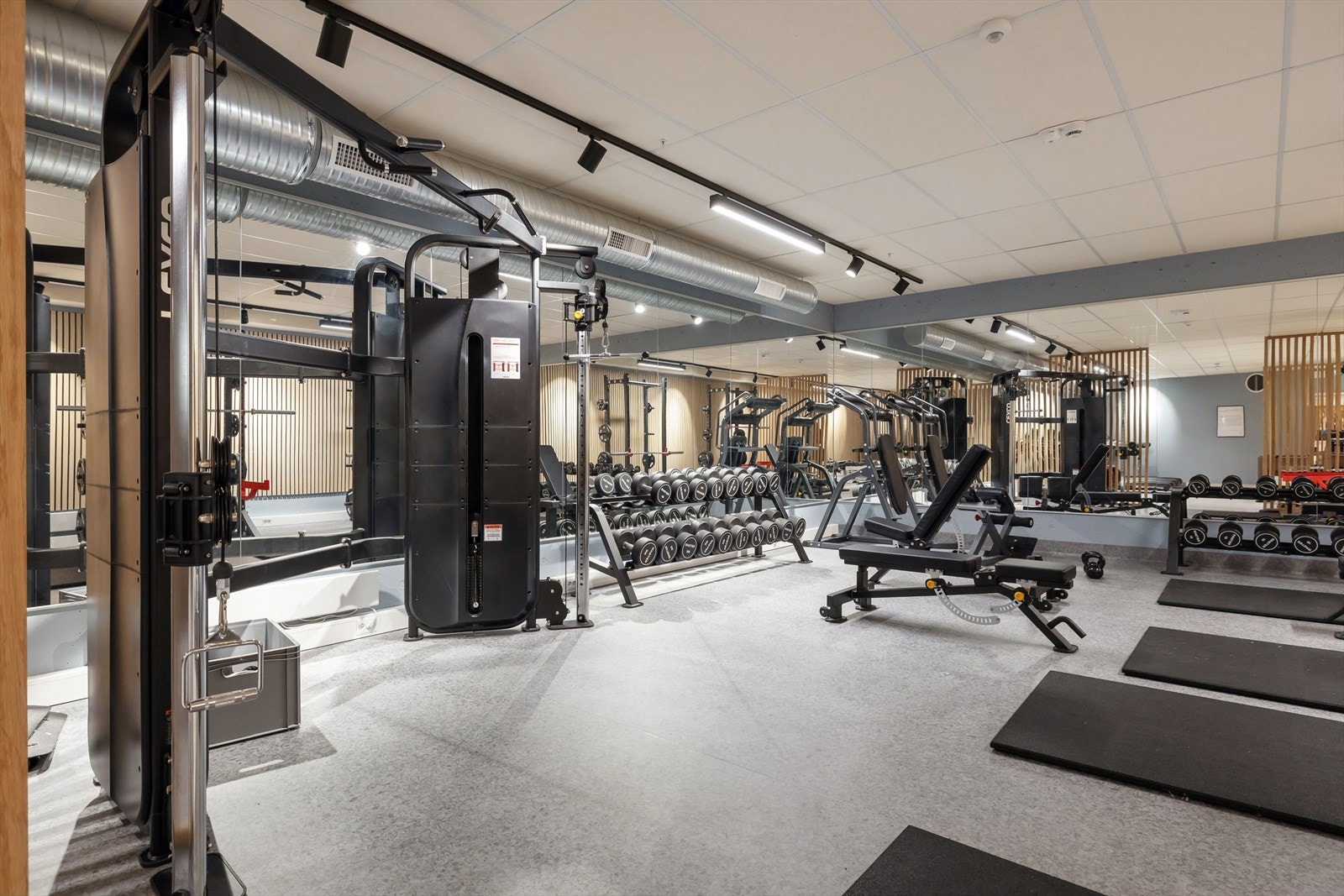 Her er det apparater og utstyr som måtte trenges for en god treningsøkt! Galleribilde