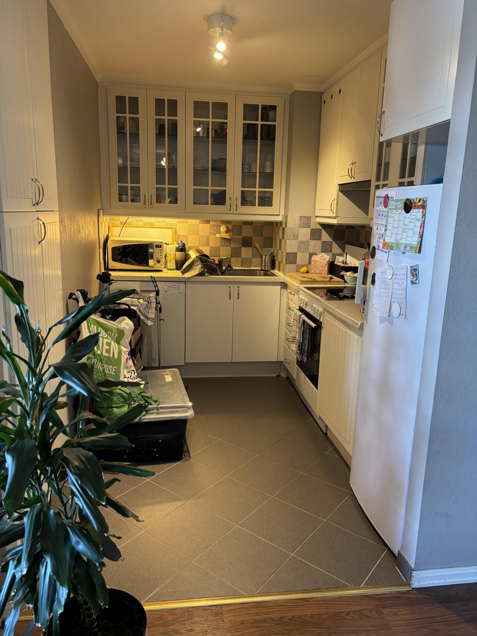 IMG_4334 Galleribilde