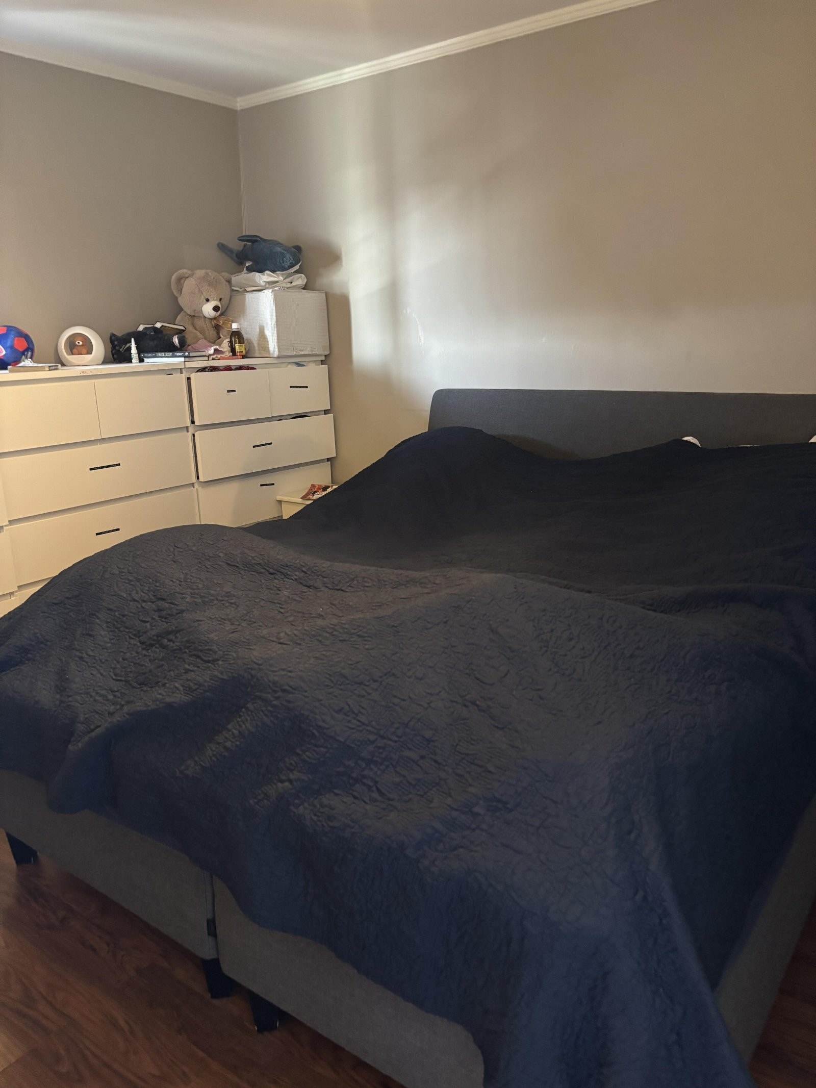 IMG_4335 Galleribilde