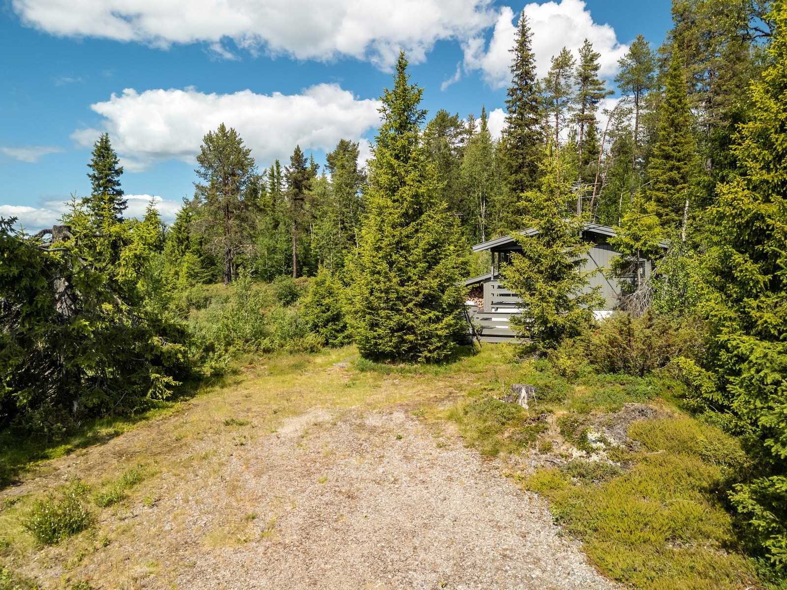 Det er god plass til parkering ved hytta. Galleribilde