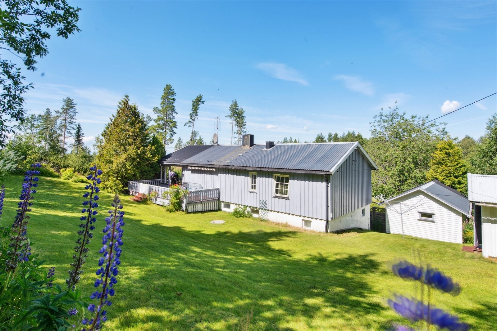 Stor hage på baksiden av huset. Galleribilde
