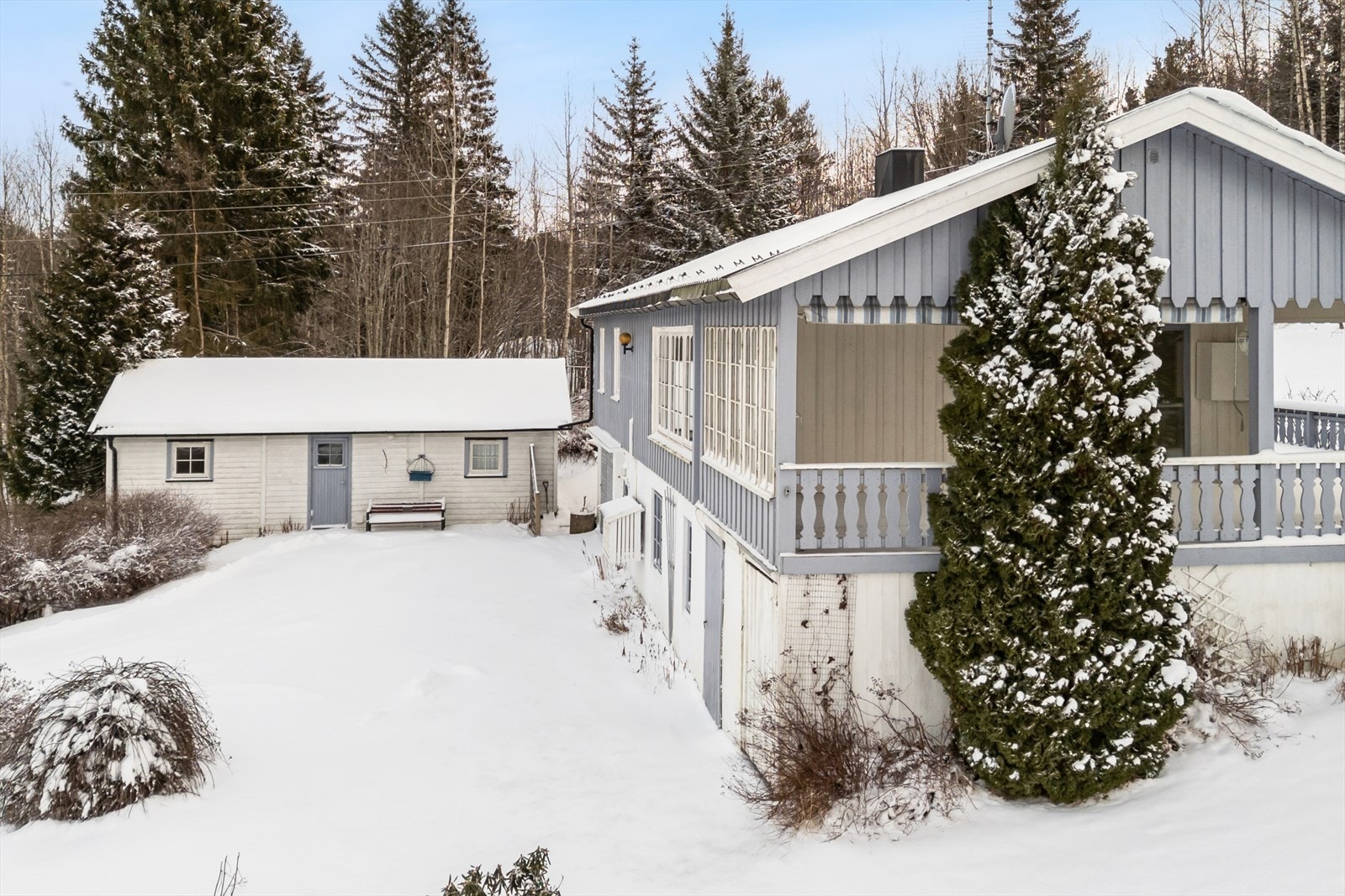 Velkommen til Åsvang! Galleribilde