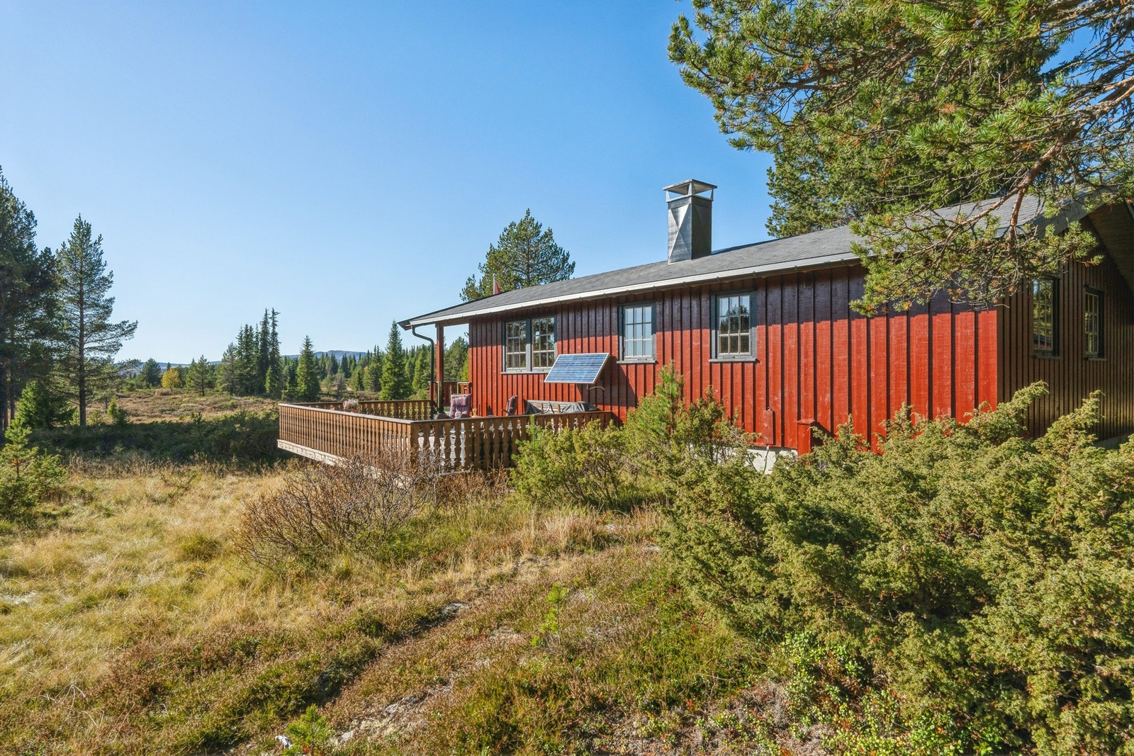 Naturtomt i svakt skrående terreng ved barskog, ca. 820 m.o.h. Galleribilde