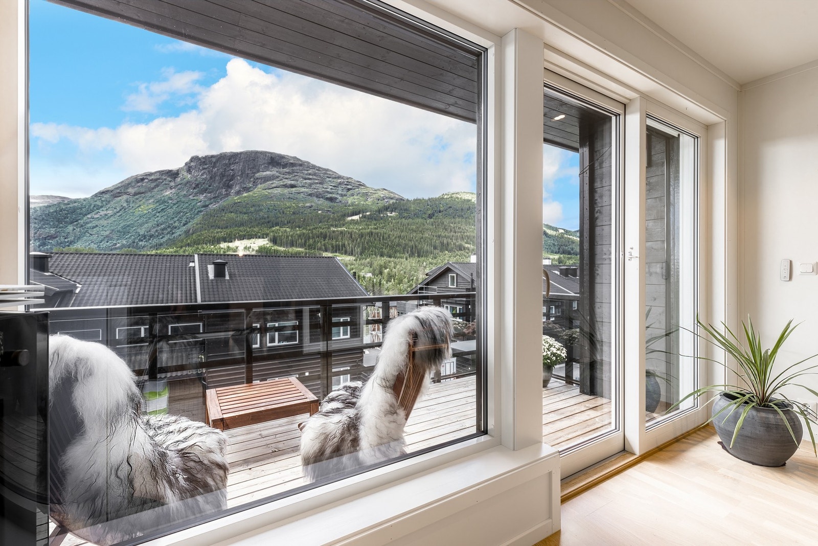 Store vinduer gir godt dagslys i leiligheten Galleribilde