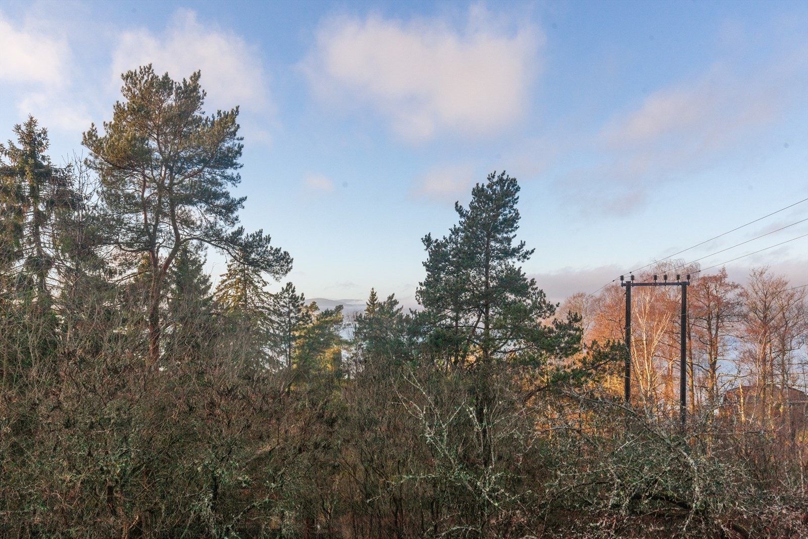 Utsikt. Galleribilde