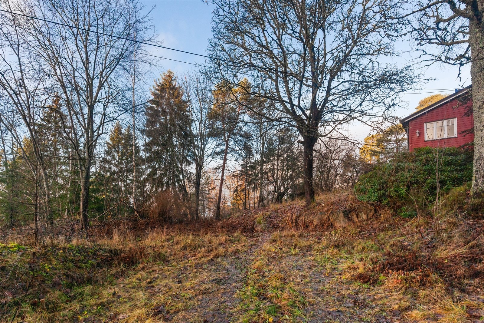 Godt med biloppstillingsplasser på tomten. Galleribilde