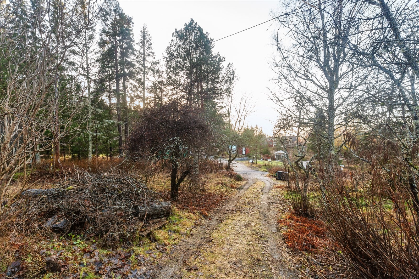 Tomten er delvis overgrodd, noe beplantning, busker og trær som gir et unikt utgangspunkt for deg som ønsker å forme landskapet etter egne ønsker. Galleribilde