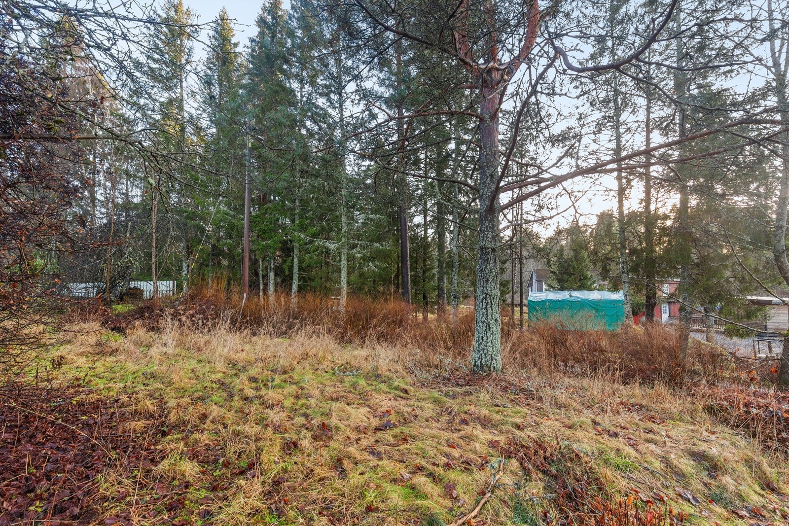 Tomten er stor, åpen og lys. Galleribilde