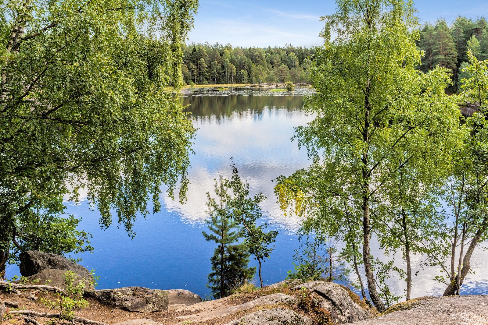Østmarka med flotte turmuligheter sommer som vinter. Galleribilde