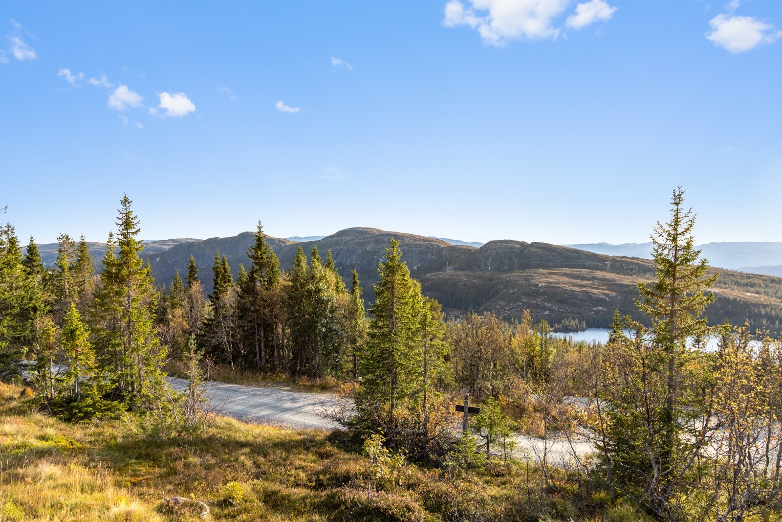 Fantastisk utsikt! Galleribilde