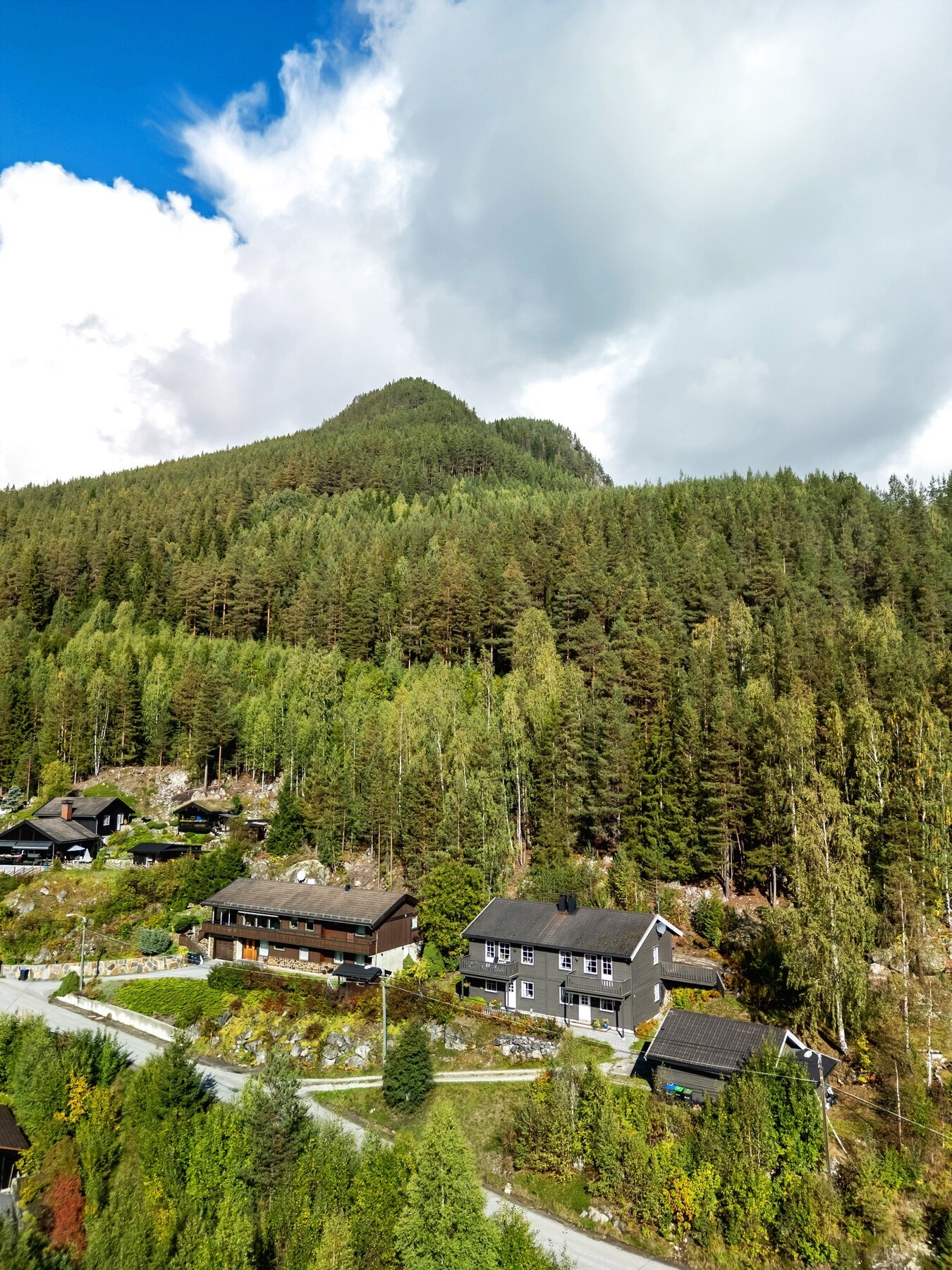 Lisbetnuten i bakgrunnen. Galleribilde