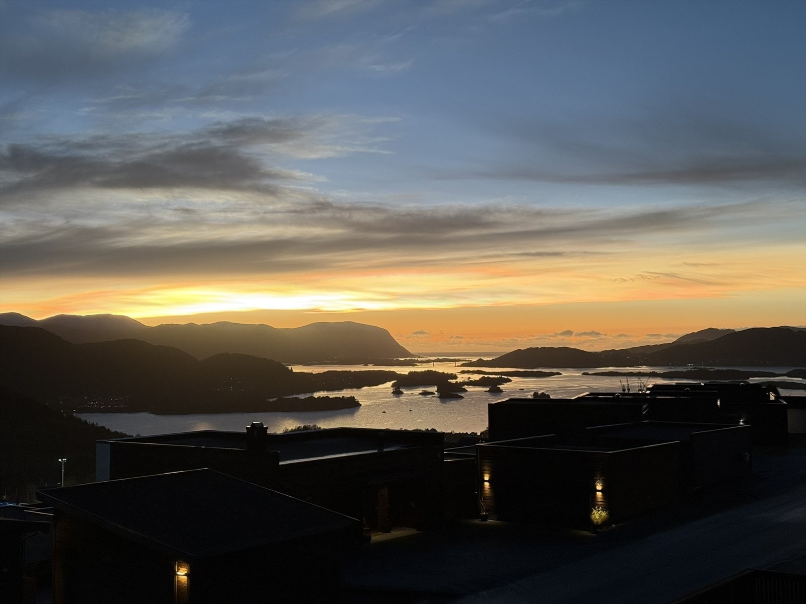 Selgers private bilder Galleribilde