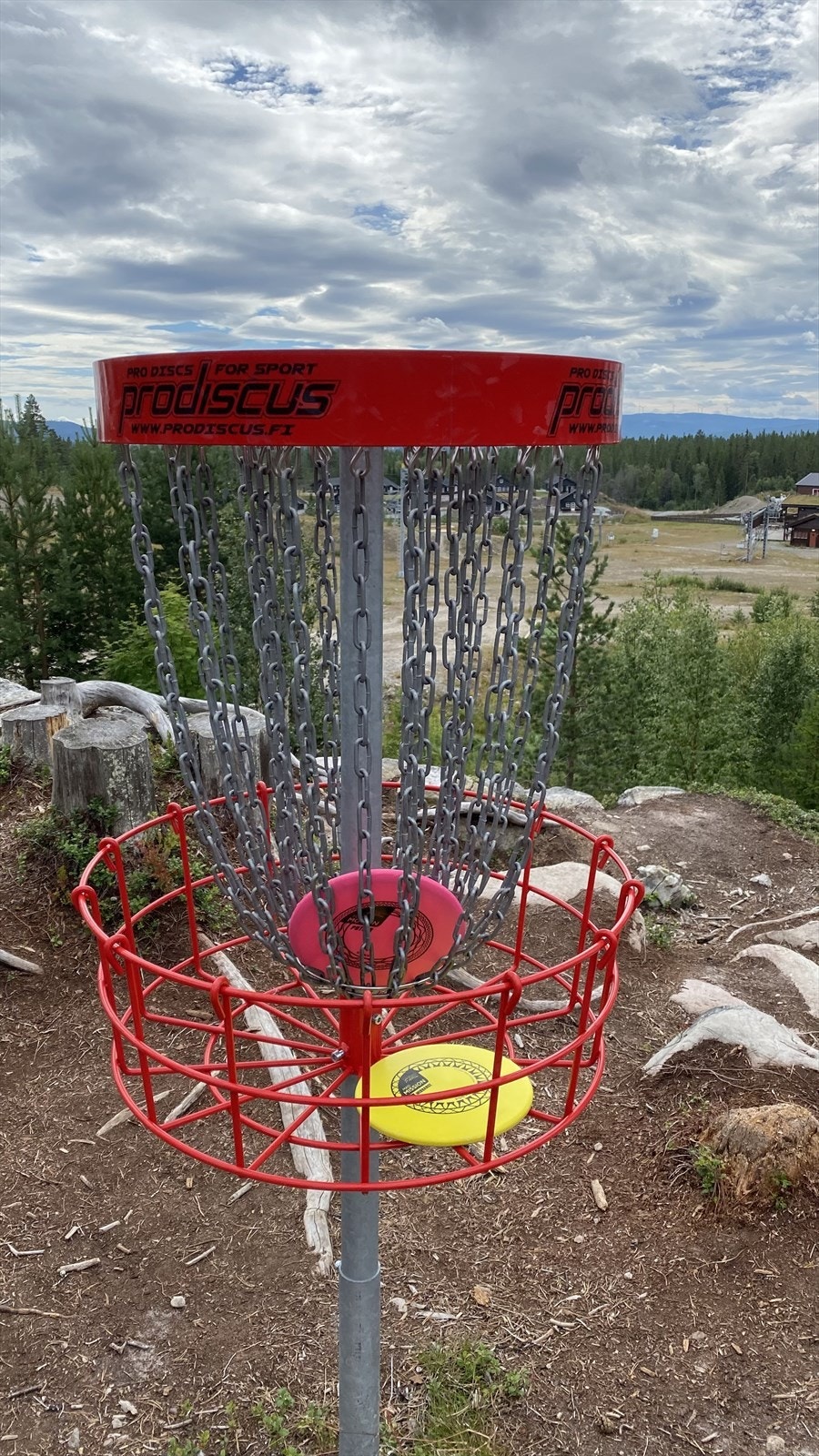 Furutangen Diskgolfpark er en spennende 24 hulls bane, med muligheter for å velge ulike baner. Galleribilde